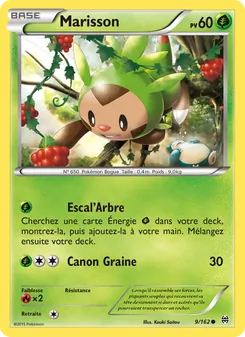 Carte Pokémon Marisson 9