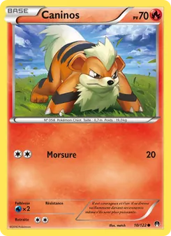 Carte Pokémon Caninos 10