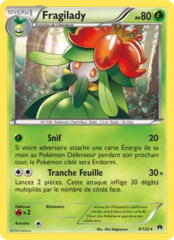 Carte Pokémon Fragilady 8