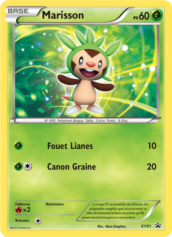 Carte Pokémon Marisson XY01/211 de l'extension Promo XY