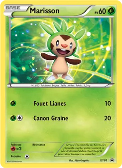 Carte Pokémon Marisson XY01 — Promo XY