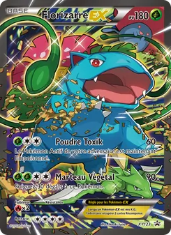 Carte Pokémon Florizarre EX XY123 — Promo XY