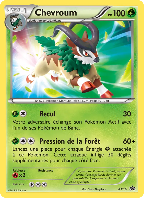 Carte Pokémon Chevroum XY16/211 de l'extension Promo XY