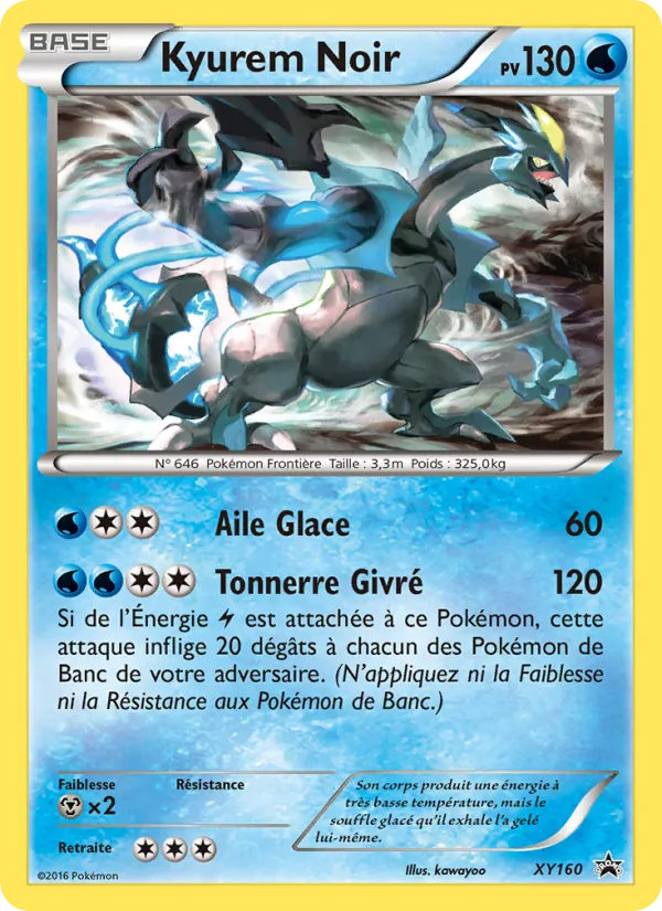 Carte Pokémon Kyurem Noir XY160/211 de l'extension Promo XY