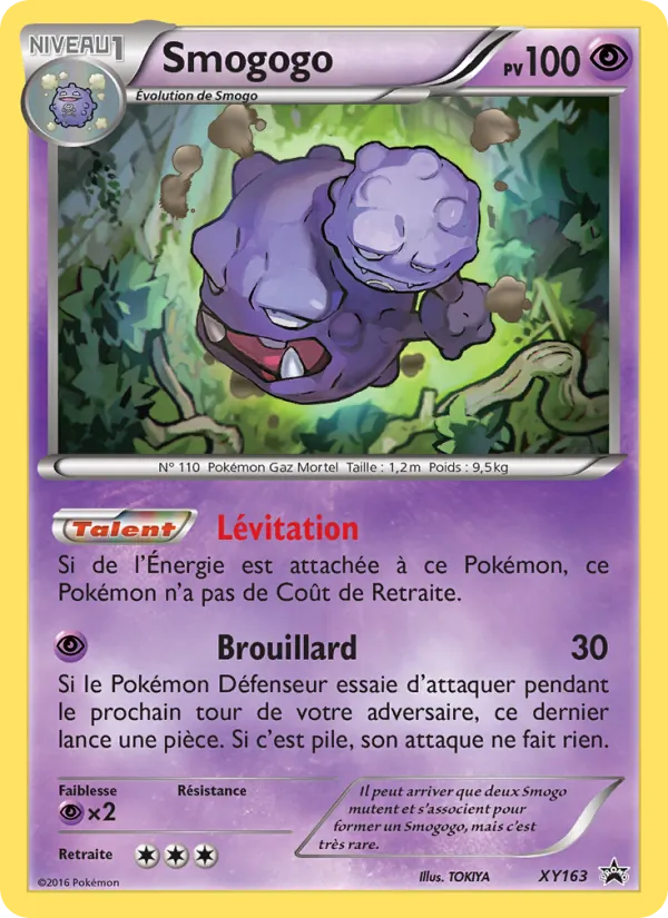 Carte Pokémon Smogogo XY163/211 de l'extension Promo XY