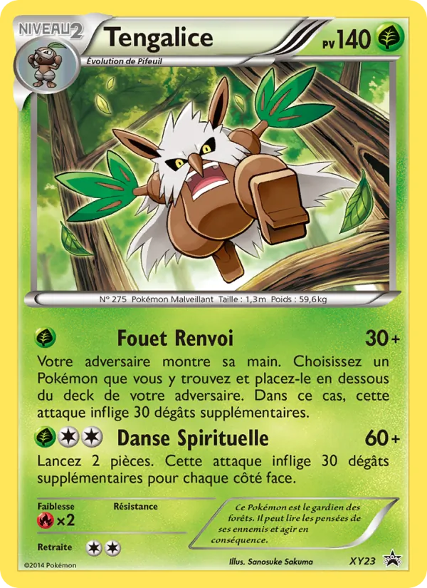 Carte Pokémon Tengalice XY23/211 de l'extension Promo XY