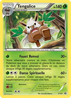 Carte Pokémon Tengalice XY23 — Promo XY