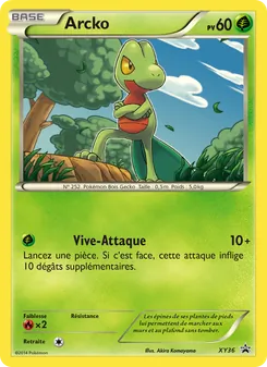 Carte Pokémon Arcko XY36 — Promo XY