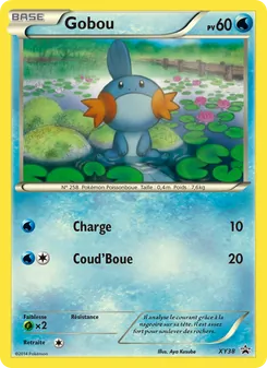 Carte Pokémon Gobou XY38 — Promo XY