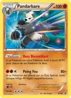 Carte Pokémon Pandarbare XY50 — Promo XY