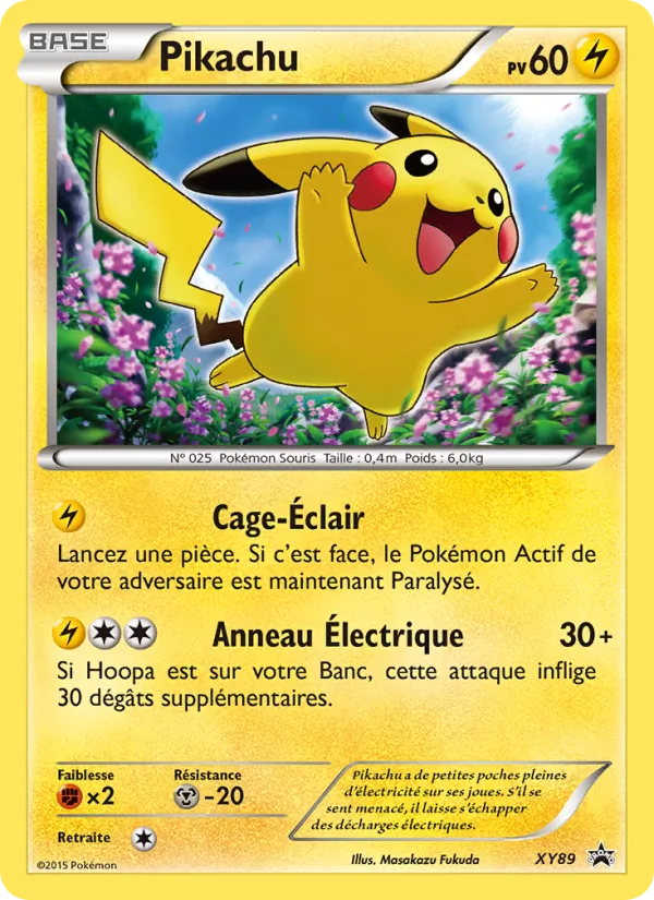 Carte Pokémon Pikachu XY89/211 de l'extension Promo XY