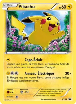 Carte Pokémon Pikachu XY89 — Promo XY